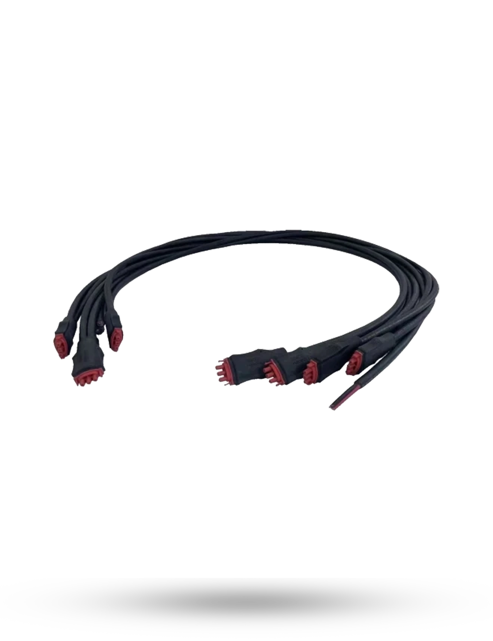 CABLE AC 2,4M POUR QT2-5C, vue 2